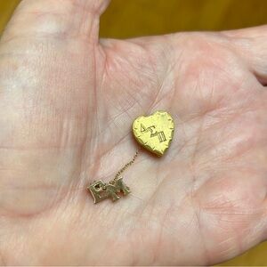 Delta Signa Pi gold-toned pin